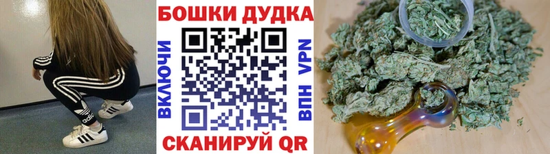 Шишки марихуана сатива  цены   Волгореченск 